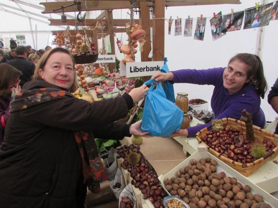 Certamen de la castaña en Arriondas