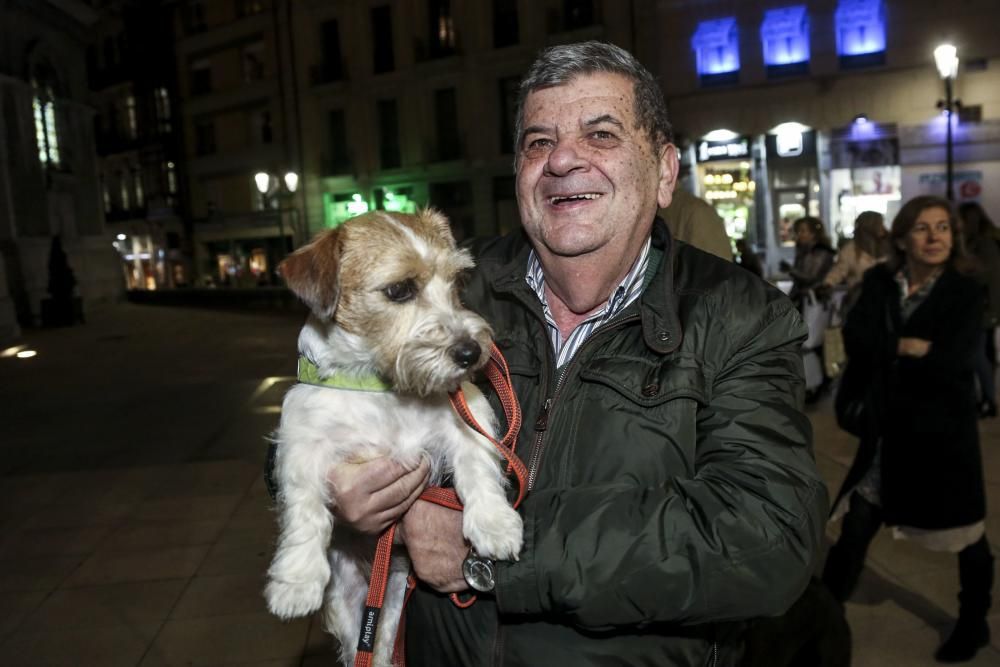 Oviedo bautiza a sus perros por el día de San Antón