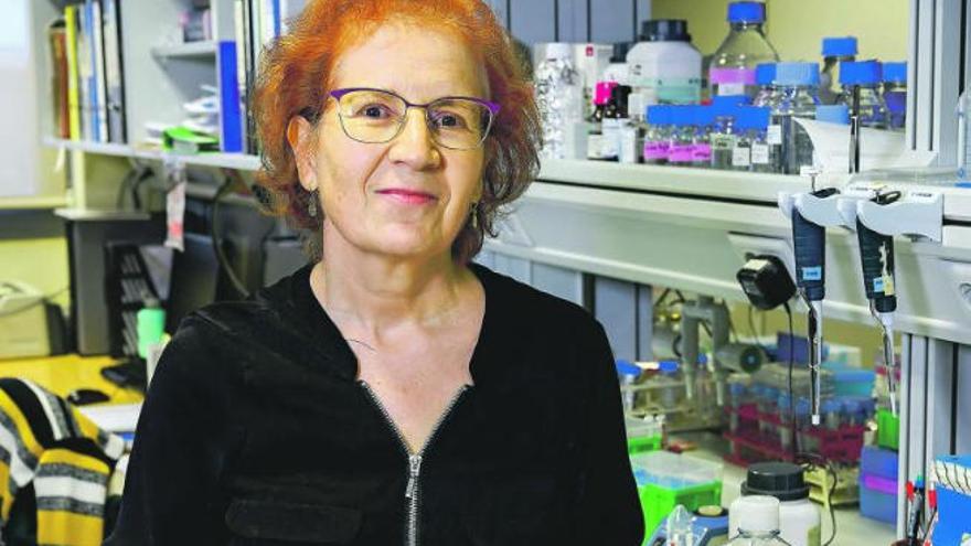 Margarita Del Val Latorre, en su laboratorio.
