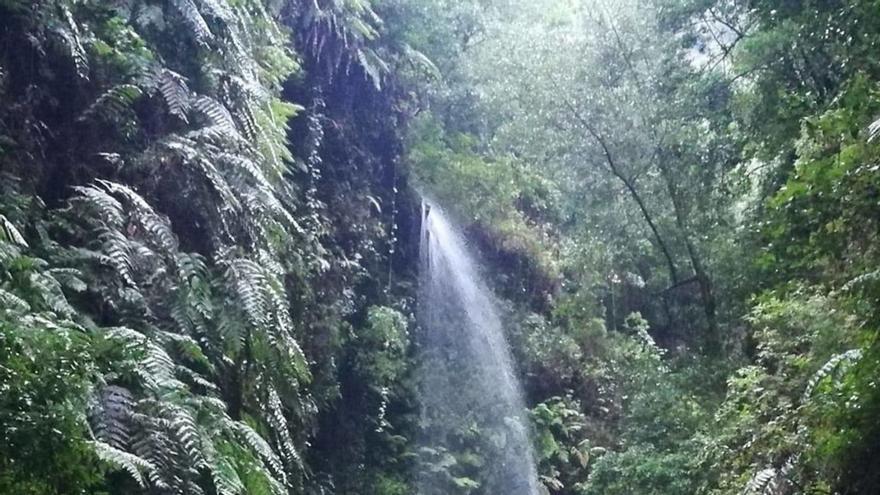 La Palma: el patrimonio verde del archipiélago canario