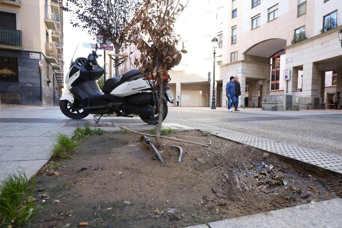 Este es el estado actual de la calle Predicadores de Zaragoza