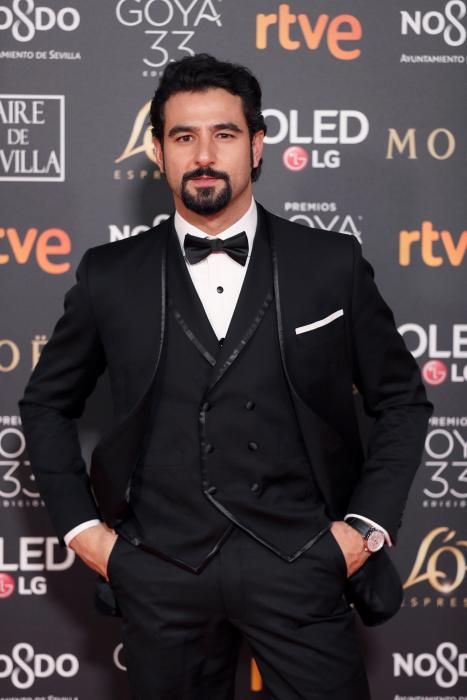 Premios Goya 2019