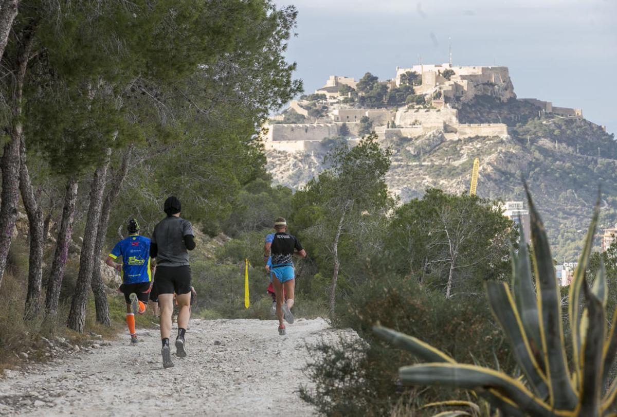 La Serra Grossa de Alicante, un paraje de ensueño frente al mar