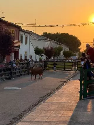 Los pueblos de Aragón celebran cerca de 3.000 festejos taurinos populares a lo largo del verano