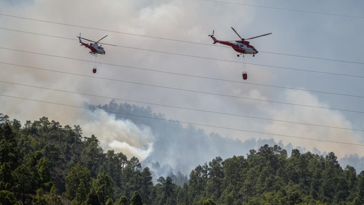 Incendio forestal en Arico