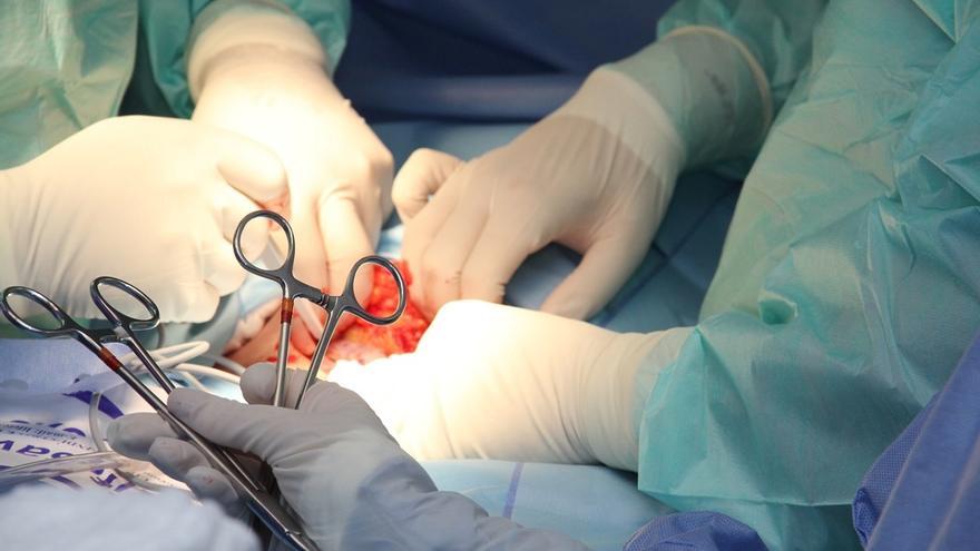 Una terapia con células del timo podría evitar el rechazo de los órganos trasplantados