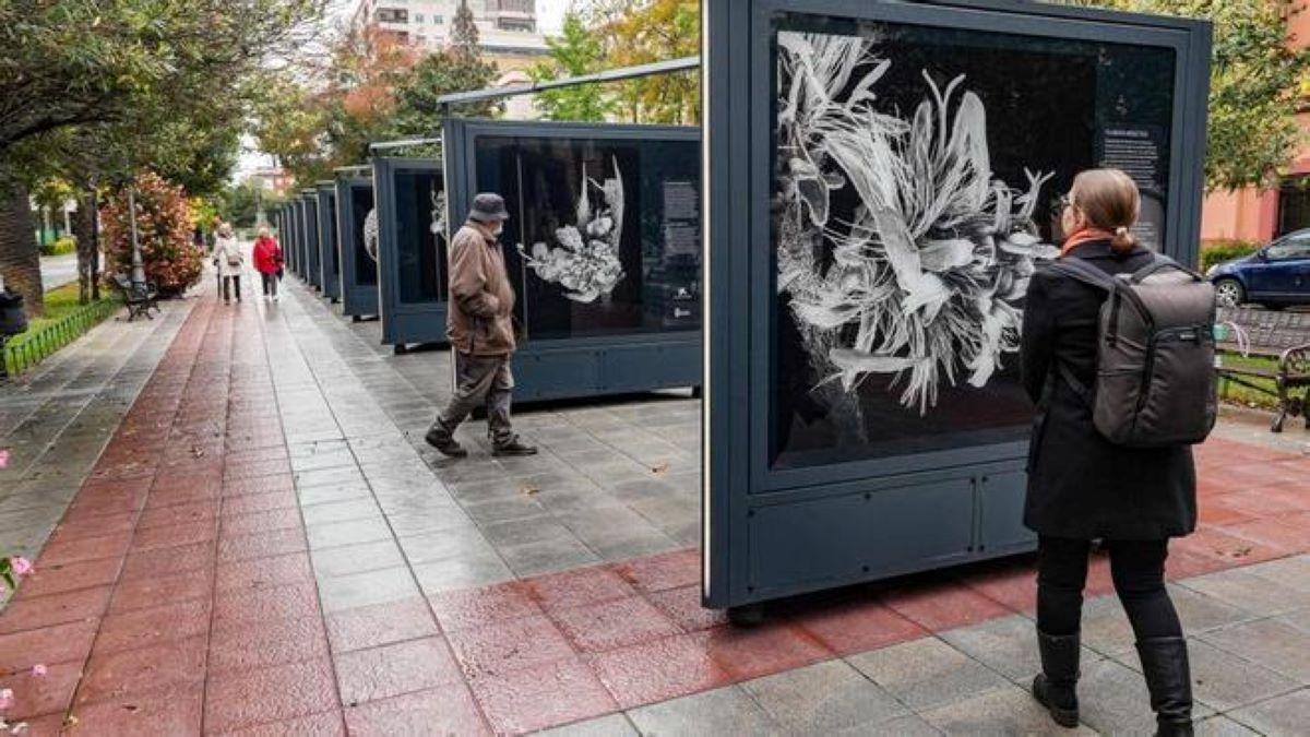 Vídeo | El mundo oculto del nanocosmos