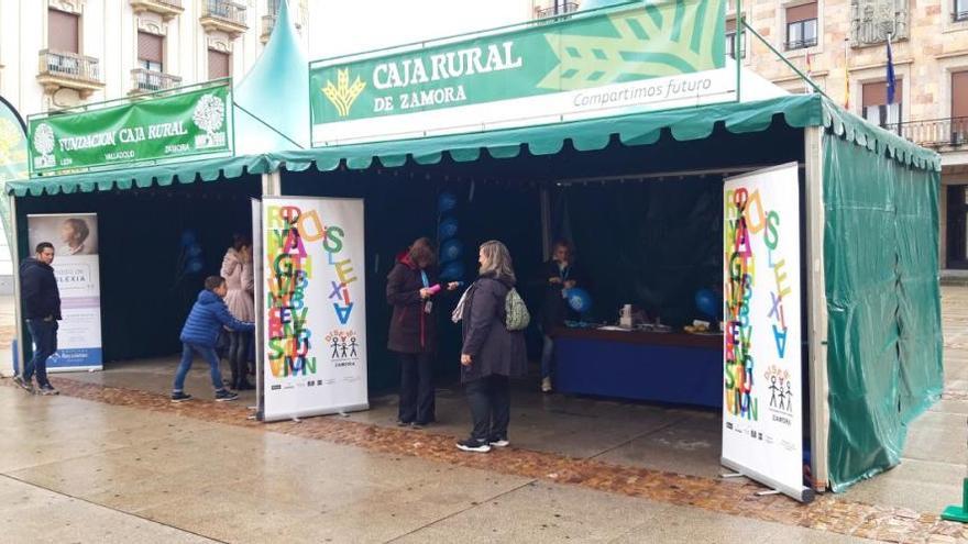 Estands instalados en la plaza de la Constitución.