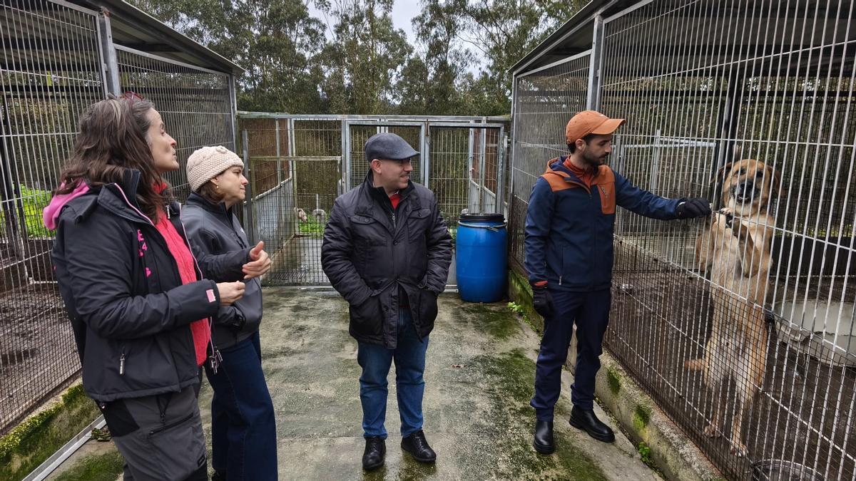 Alejandro Navazas acaricia a Ton ante la mirada de Rodrigo Pintueles, Rosa Escarp y Alejandra Mier en el albergue de animales de Serín.