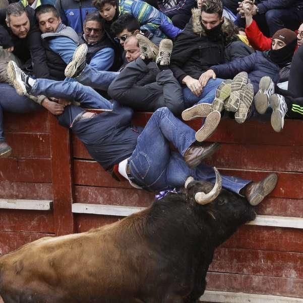 Festejos del Carnaval del Toro