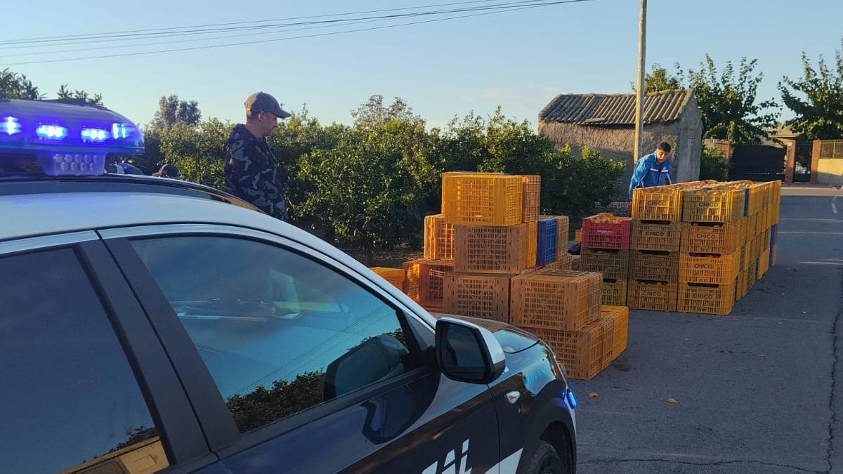 Foto de un coche de la Policía Local de Almassora supervisando un camino rural durante la campaña citrícola.