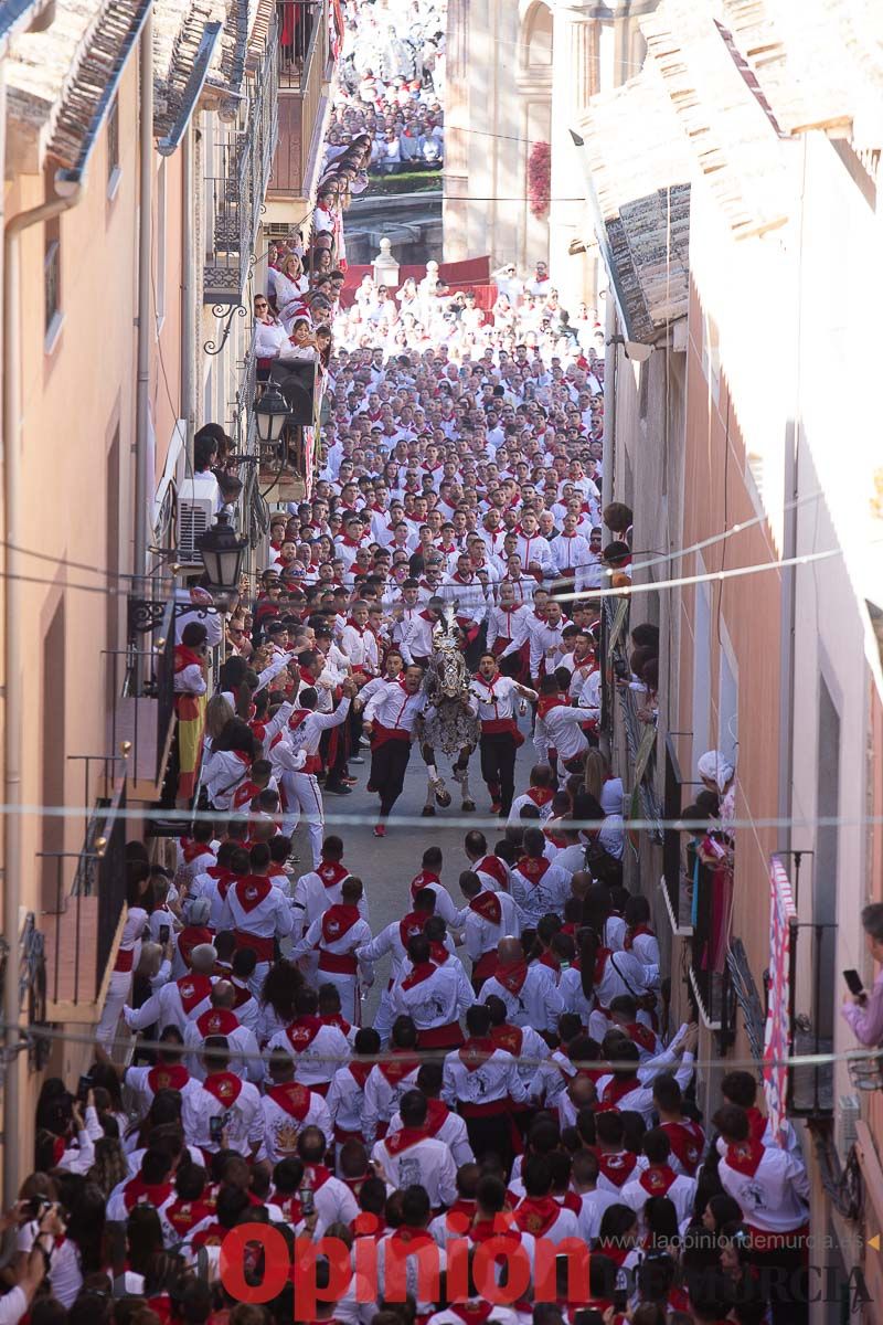 Caballos del Vino en la cuesta de la Simona