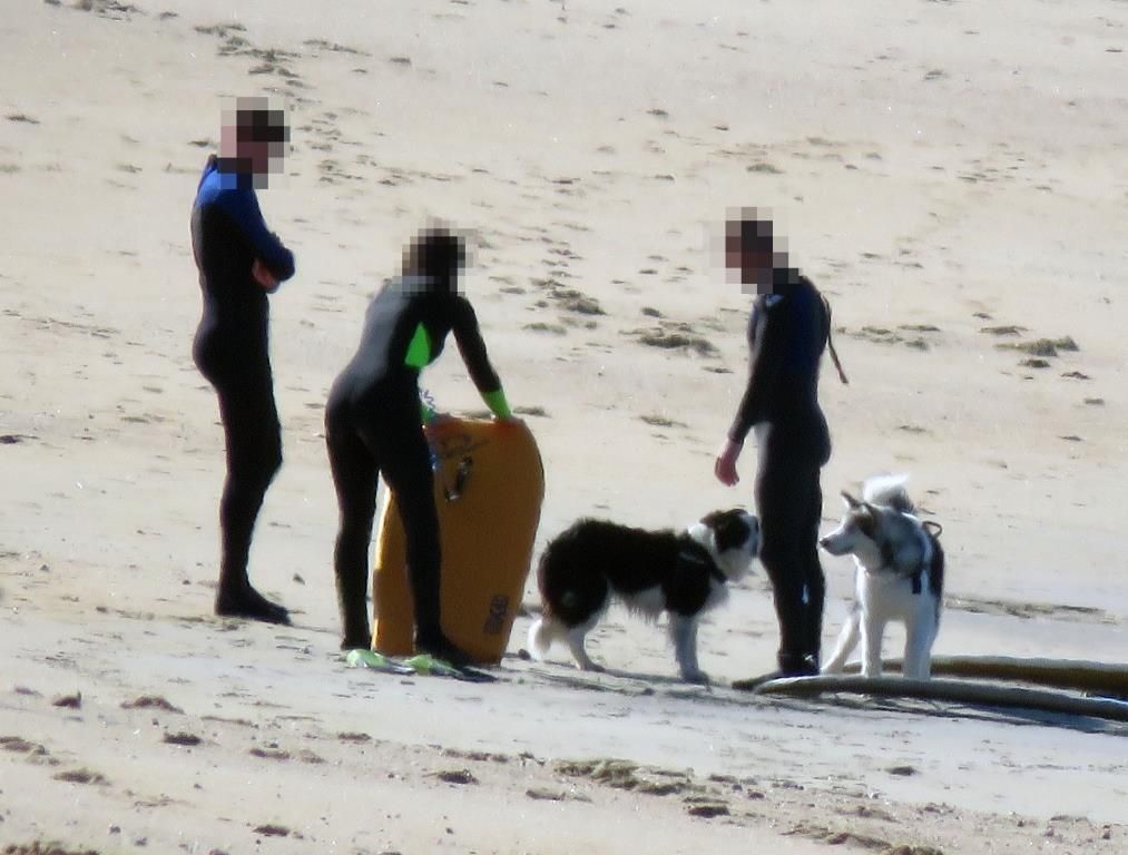 Usuarios de la playa de A Lanzada y sus perros.