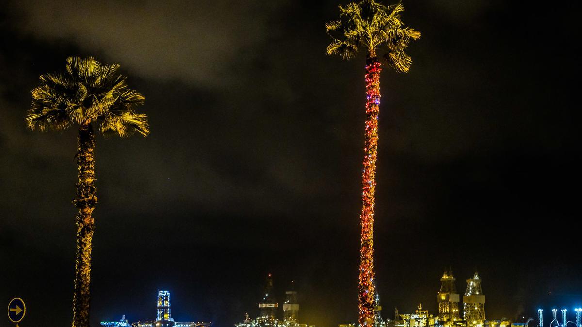 Palmeras iluminadas el pasado año en la Avenida Marítima