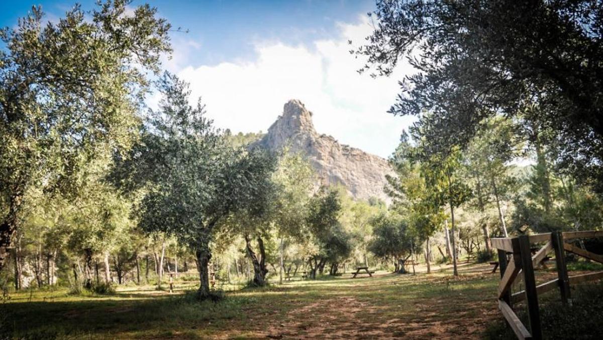 Imagen de archivo de la zona recreativa de la Cova Negra, en Xàtiva.