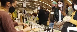 La mayor feria vegana de Europa vuelve a Vigo