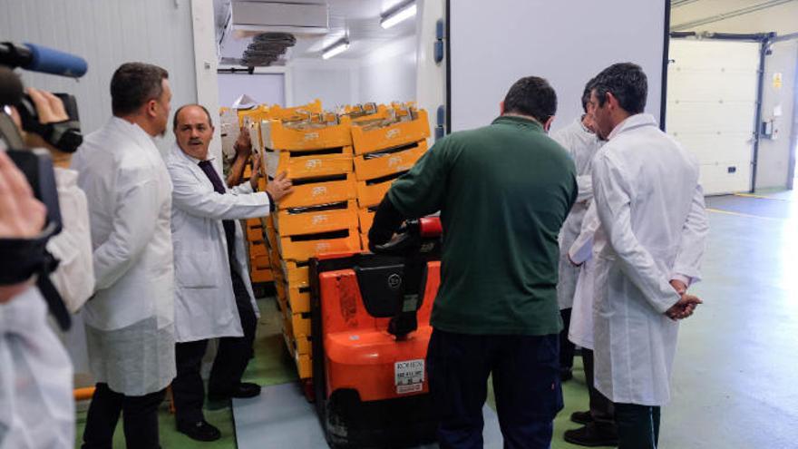 Esta cámara de atmósfera controlada, ubicada en las instalación de la empresa Gestión del Medio Rural, tiene capacidad para unos 7.000 kilos de papas.