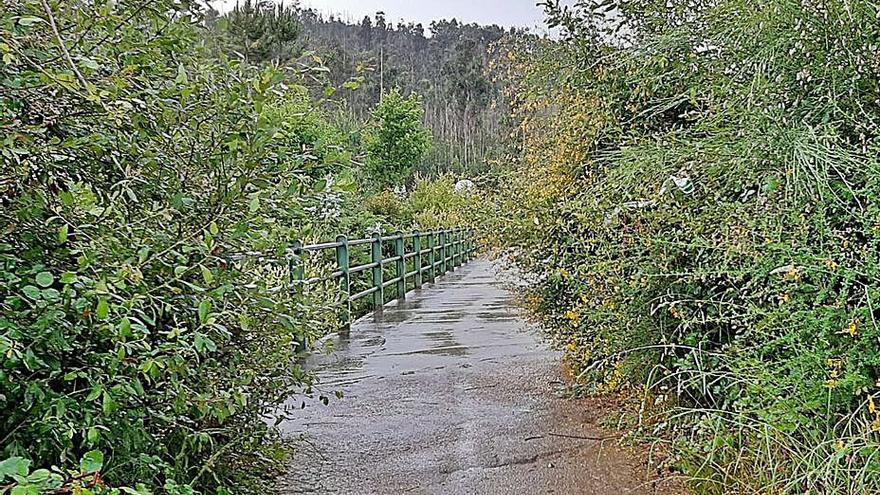 Uno de los viales de las parroquias invadidos por la maleza.   | // FDV