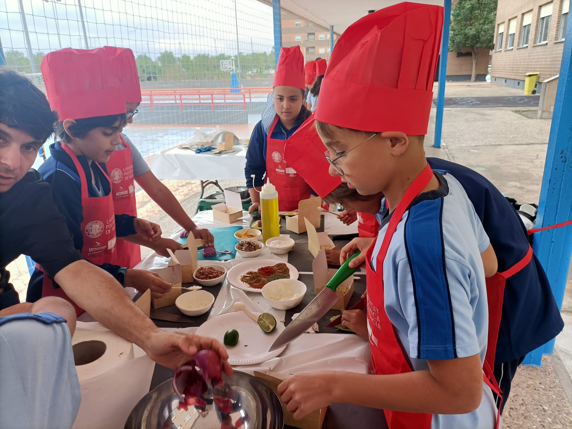 Cocina con-ciencia