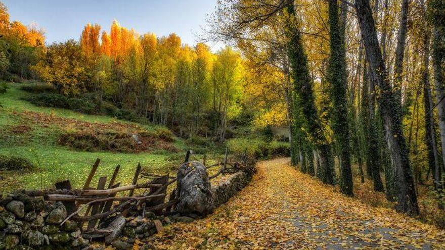 Paleta de colores del otoño en el Ambroz.