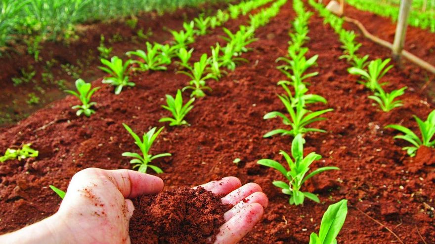 Reclaman un cambio agrícola porque la degradación del suelo libera CO2 a la atmósfera