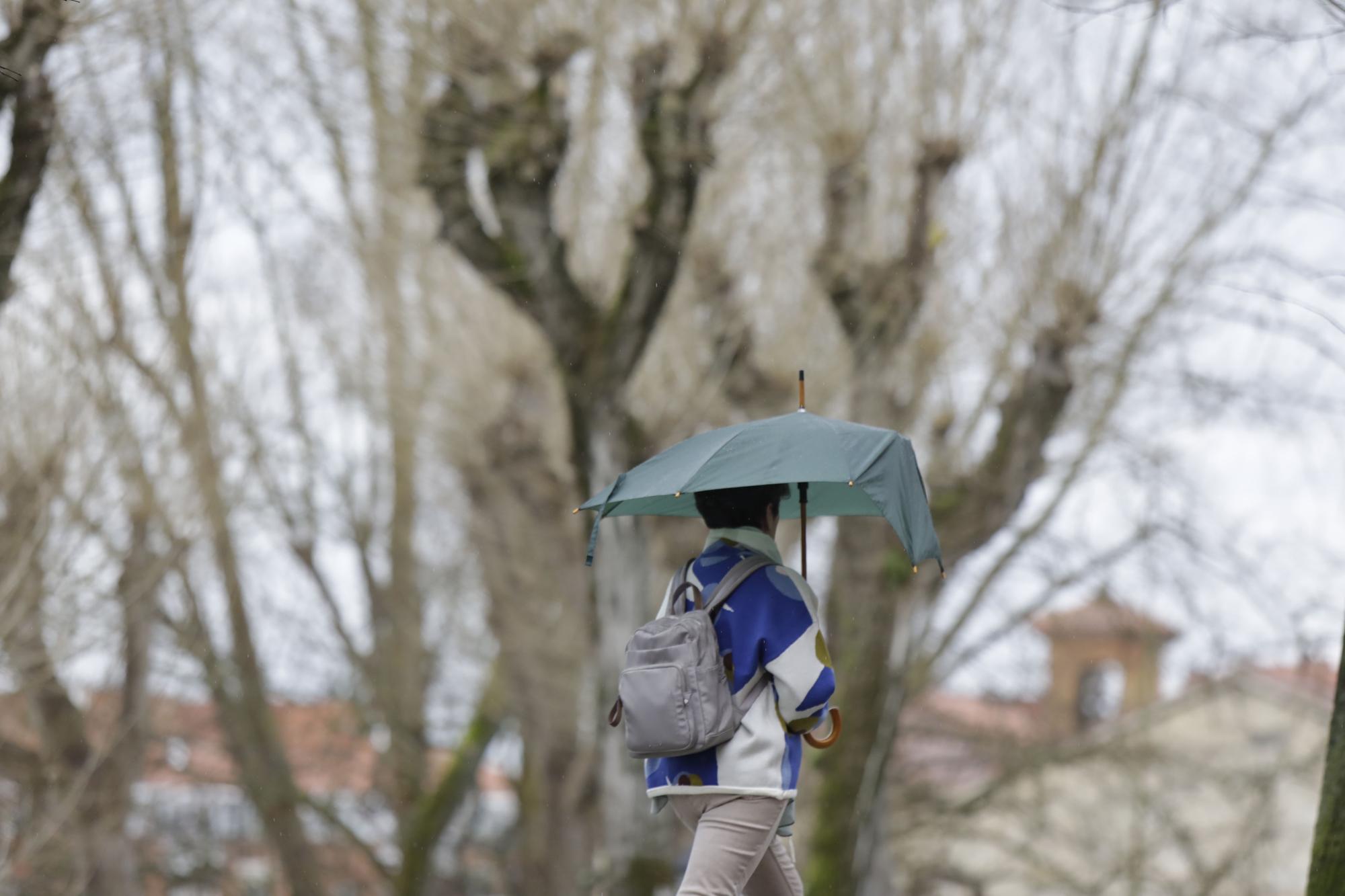 Viento en Oviedo