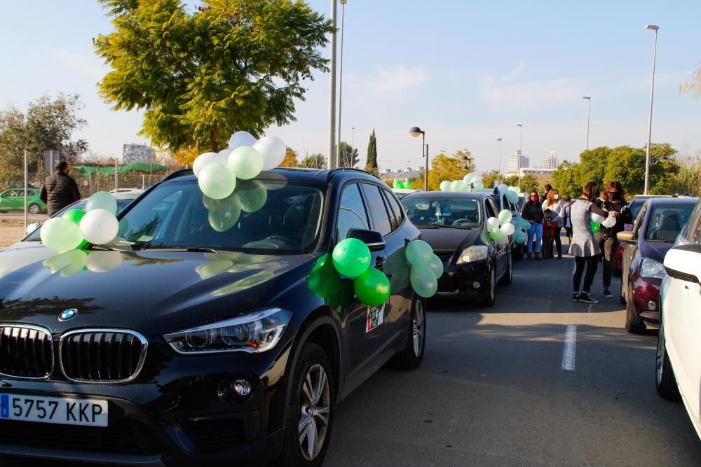 Una marcha teñida de verde y blanco para defender "el bien común"