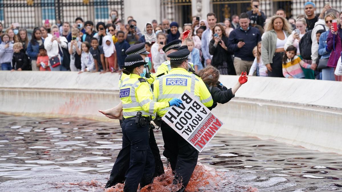 Una manifestante en el momento de su detención.