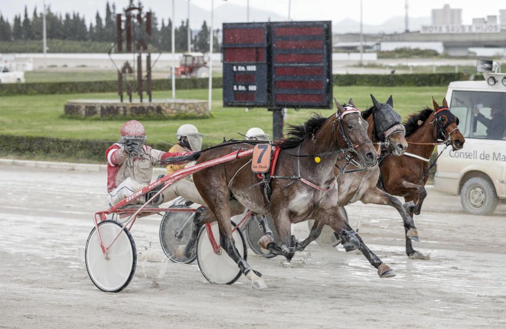 Goliat de Clide remonta a lo campeón en el ‘Menhammar’