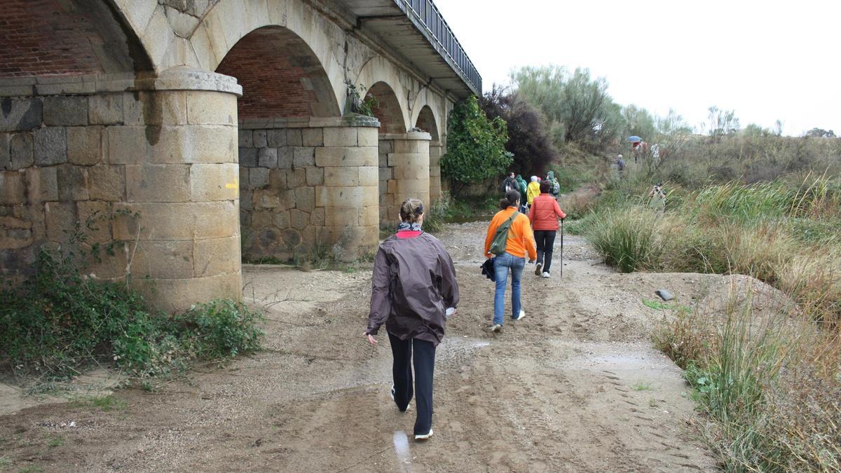 Un grupo de peregrinos recorre una de las etapas del Camino Mozárabe a su paso por la provincia de Córdoba.