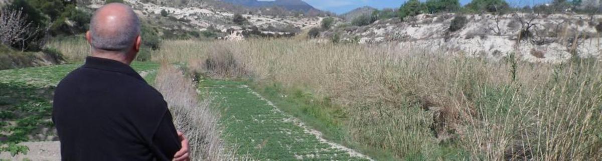 El germen de la huerta alicantina