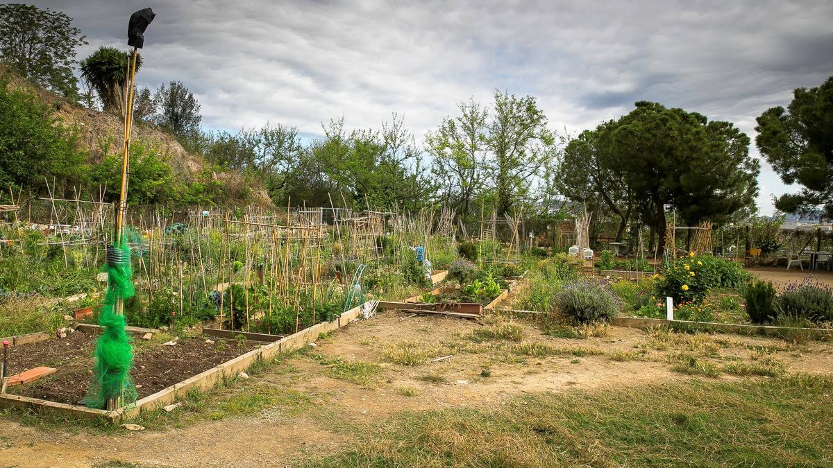 Barcelona invertirá casi un millón de euros en el acondicionamiento del Hort de la Font Trobada, en Montjuïc