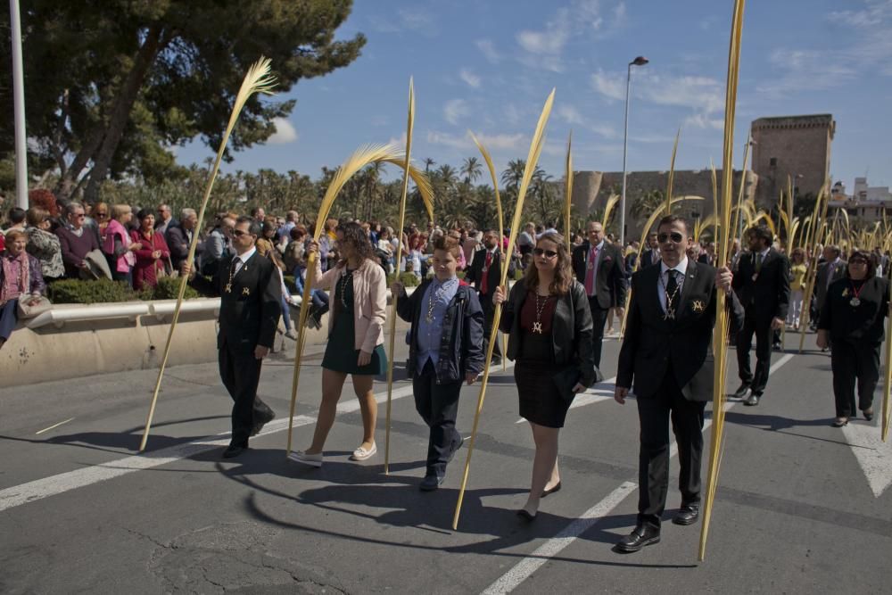 Domingo de Ramos en Elche