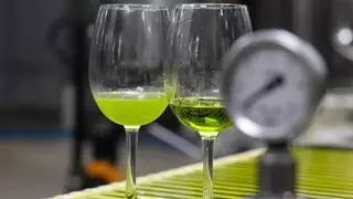 ¿Por qué pica en la garganta el aceite de oliva virgen extra? Tu salud te da la respuesta