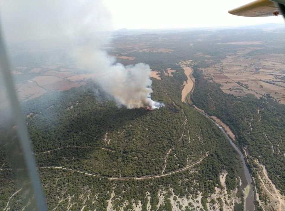 Im Gebiet von sa Canova im Nordosten von Mallorca ist am Mittwochnachmittag (17.8.) erneut ein Waldbrand ausgebrochen, nachdem es nur zwei Tage zuvor bereits gebrannt hatte. Das Feuer war gegen 2 Uhr nachts unter Kontrolle und zerstörte rund 23 Hektar Kiefernwald.