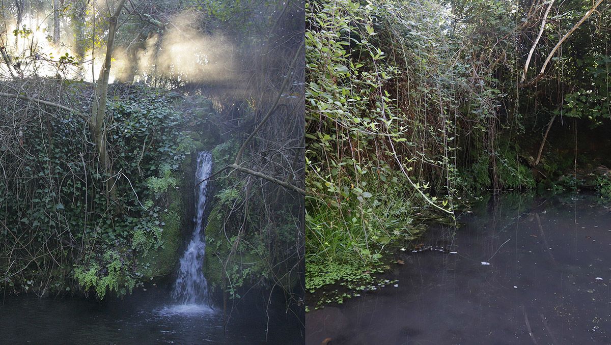 El caño del Arroyo Bejarano en invierno y ayer