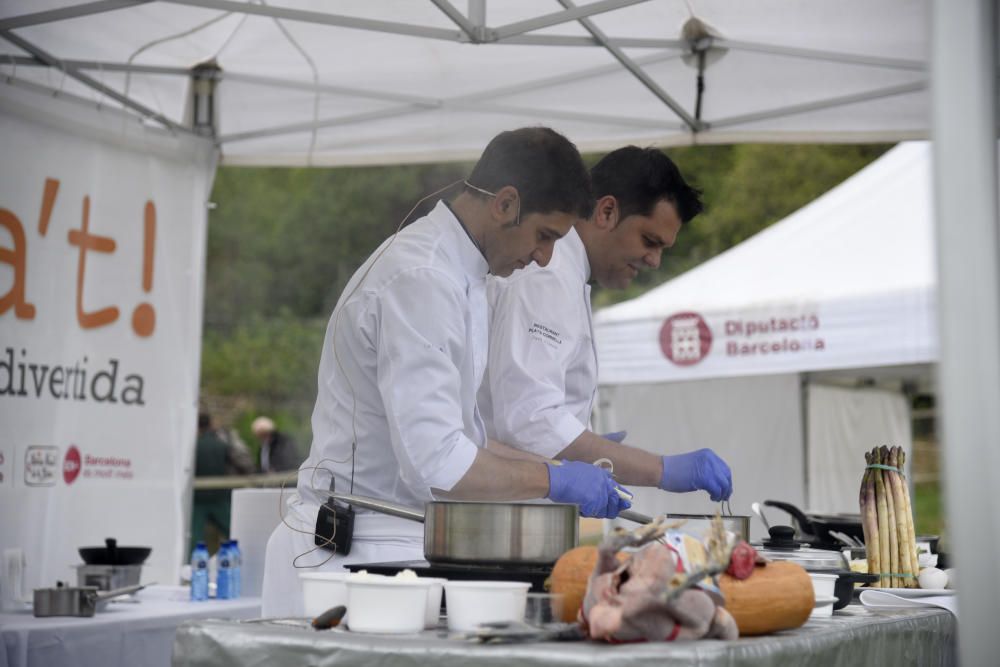 Festa de la Gastronomia Alicia't