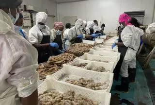 La viguesa Maravilla se refuerza en origen con la compra de una pesquera en Gambia