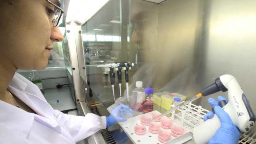 La investigación, que se desarrolla en las instalaciones de Inescop en Elda, se basa en el cultivo de células de piel animal.