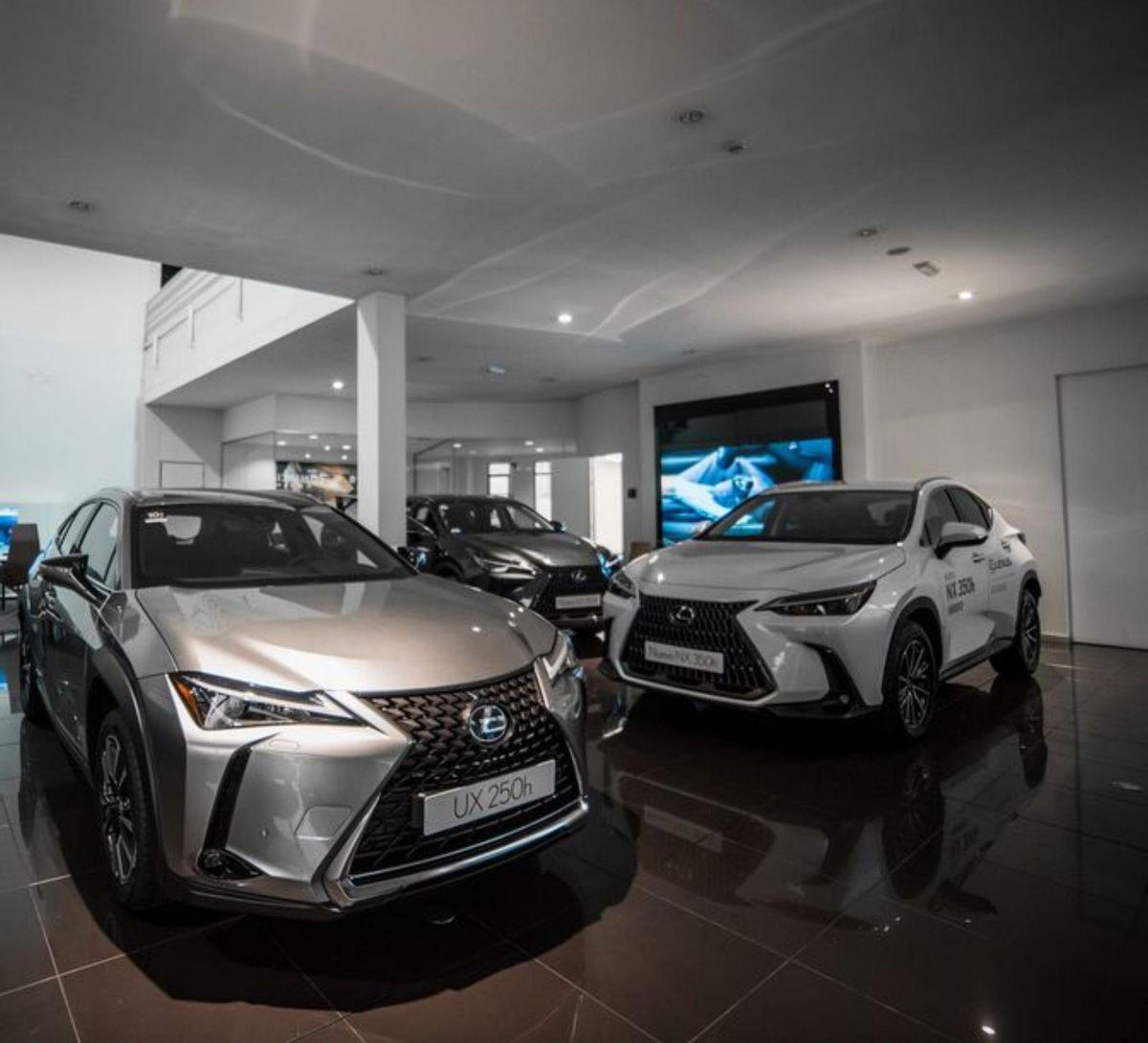 Libertad de movimientos con el nuevo renting de Lexus y Toyota