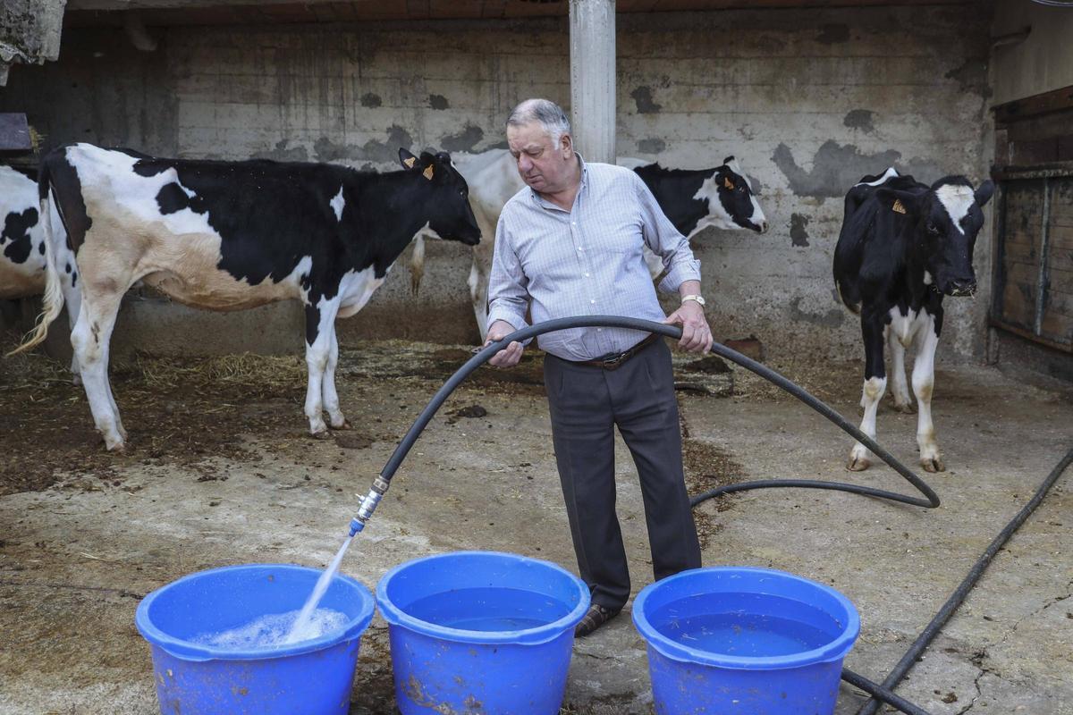 José Manuel Medina echando agua a sus vacas