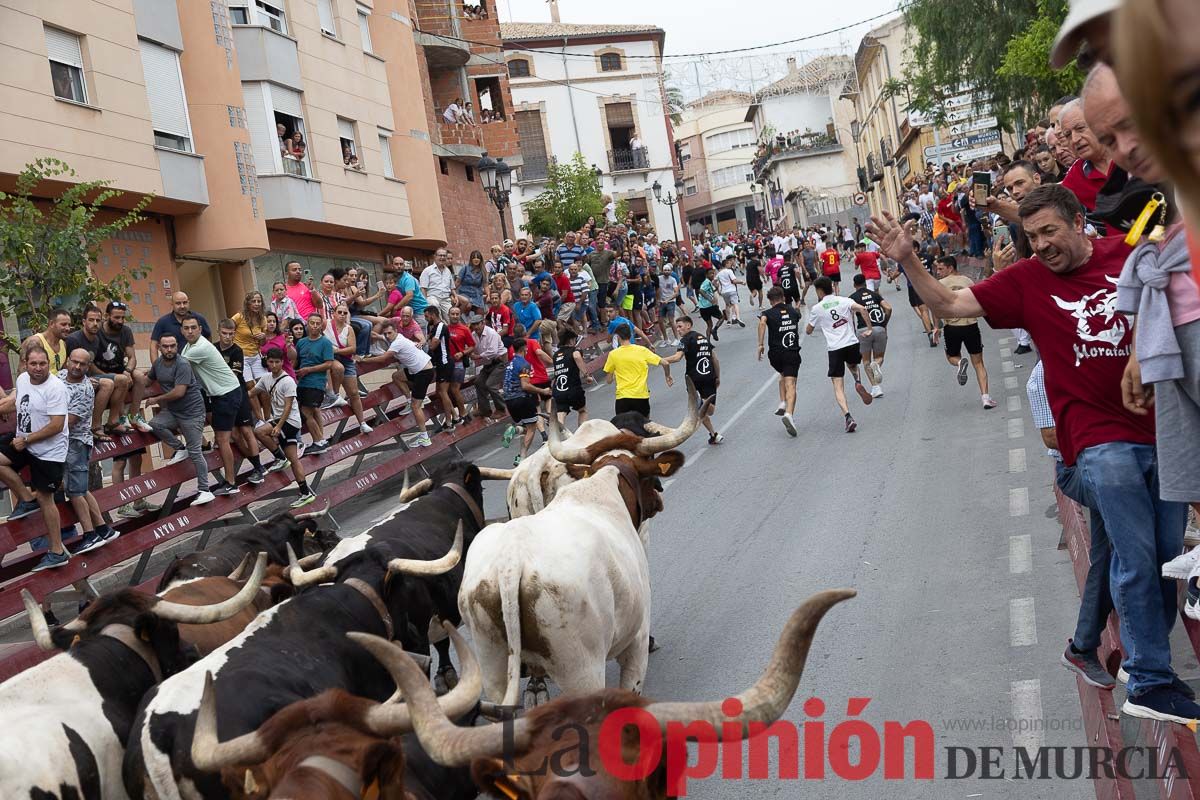 Cuarto encierro en las Fiestas de Moratalla