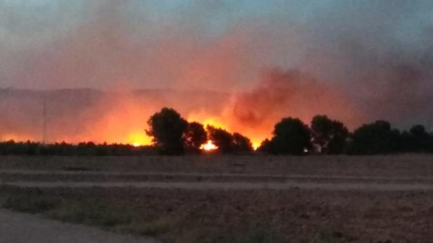 Incendio forestal en Moratalla.