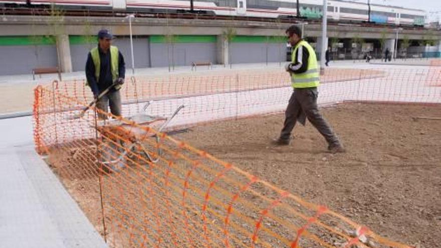 Operaris treballant a la zona per enjardinar.