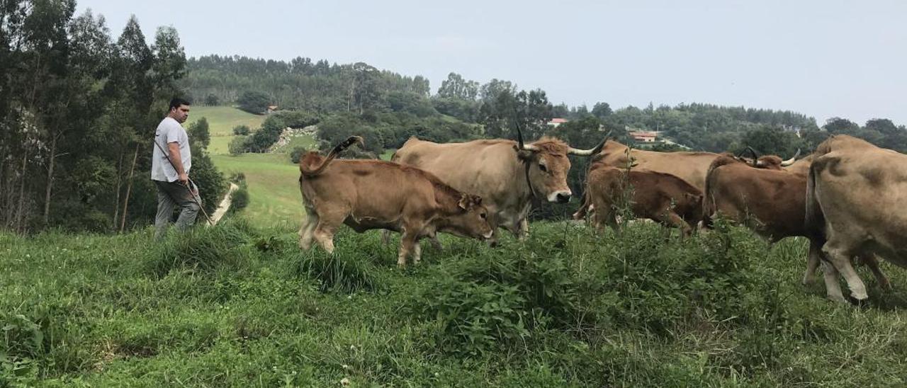 Los futuros recortes en la PAC alarman al sector agrario, que vislumbra pérdidas