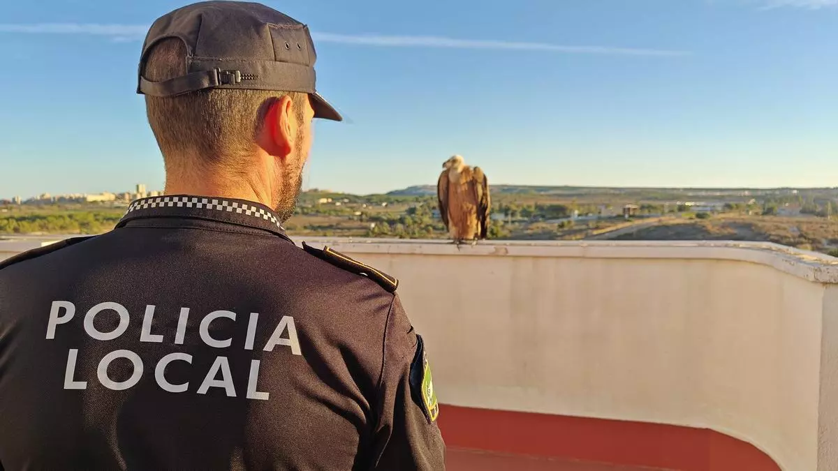 ¿Sabes cómo protege la fauna silvestre la Policía Local de Elche?