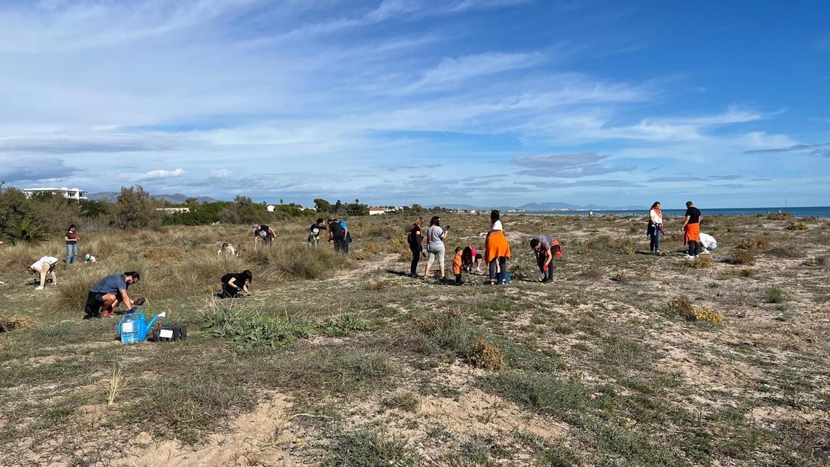 Participantes en la iniciativa.