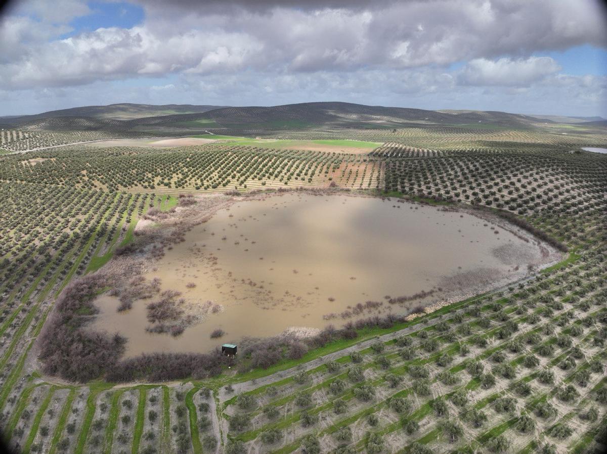 Las lagunas del Sur de Córdoba, a vista de pájaro