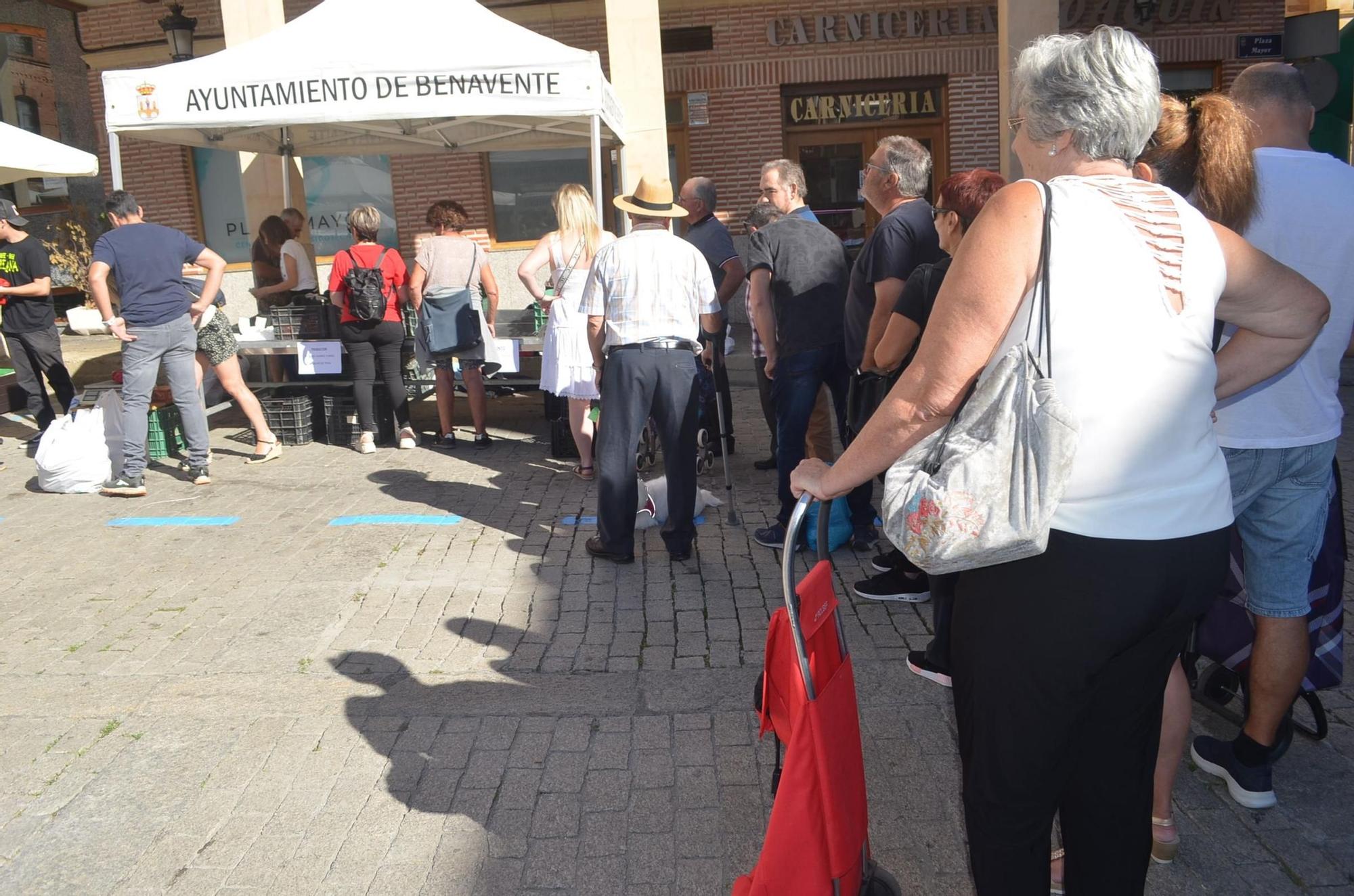 Así ha transcurrido la XXIX Feria del Pimiento y Productos de la Tierra de Benavente