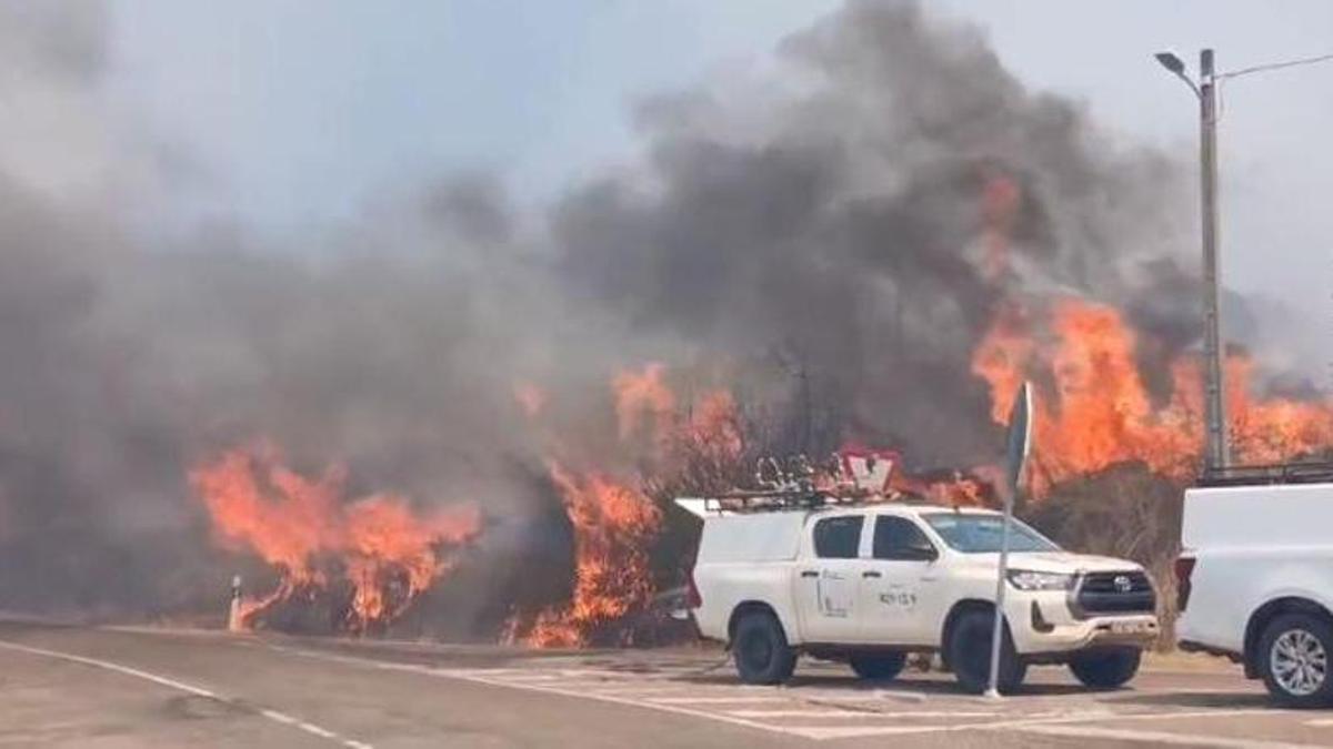 Medios del operativo, en el enfrentamiento directo con las llamas del incendio de Fermoselle.